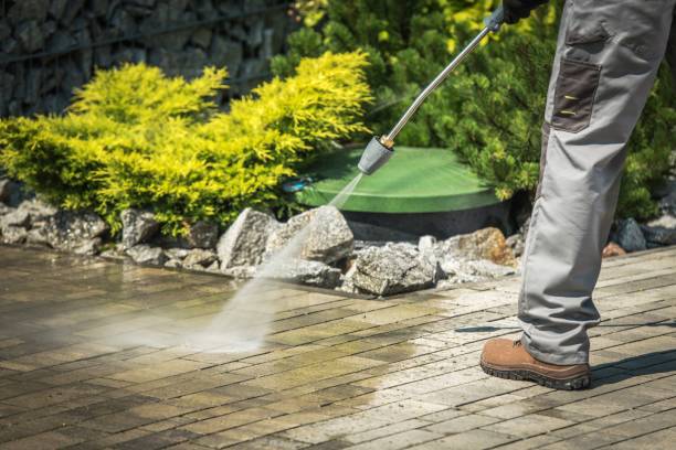 Best Boat and Dock Cleaning  in Roosevelt Gardens, FL